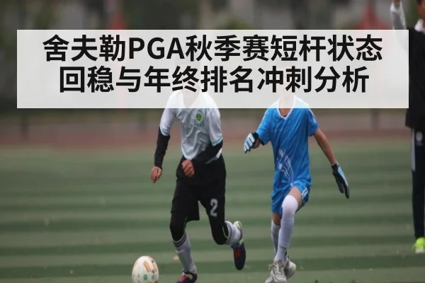舍夫勒PGA秋季赛短杆状态回稳与年终排名冲刺分析