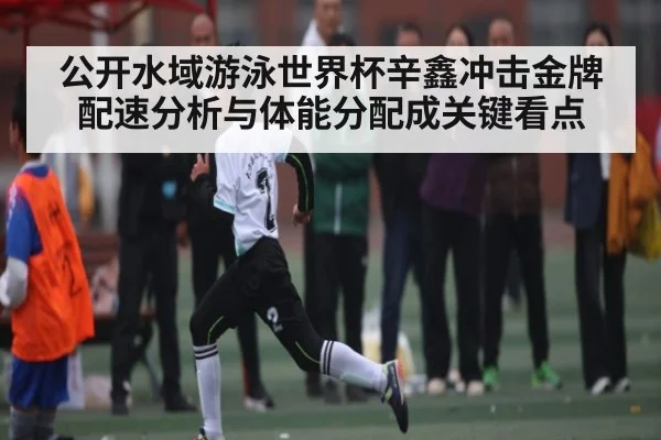 公开水域游泳世界杯辛鑫冲击金牌 配速分析与体能分配成关键看点